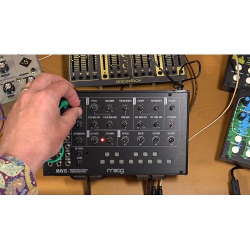 Синтезатор MOOG MAVIS